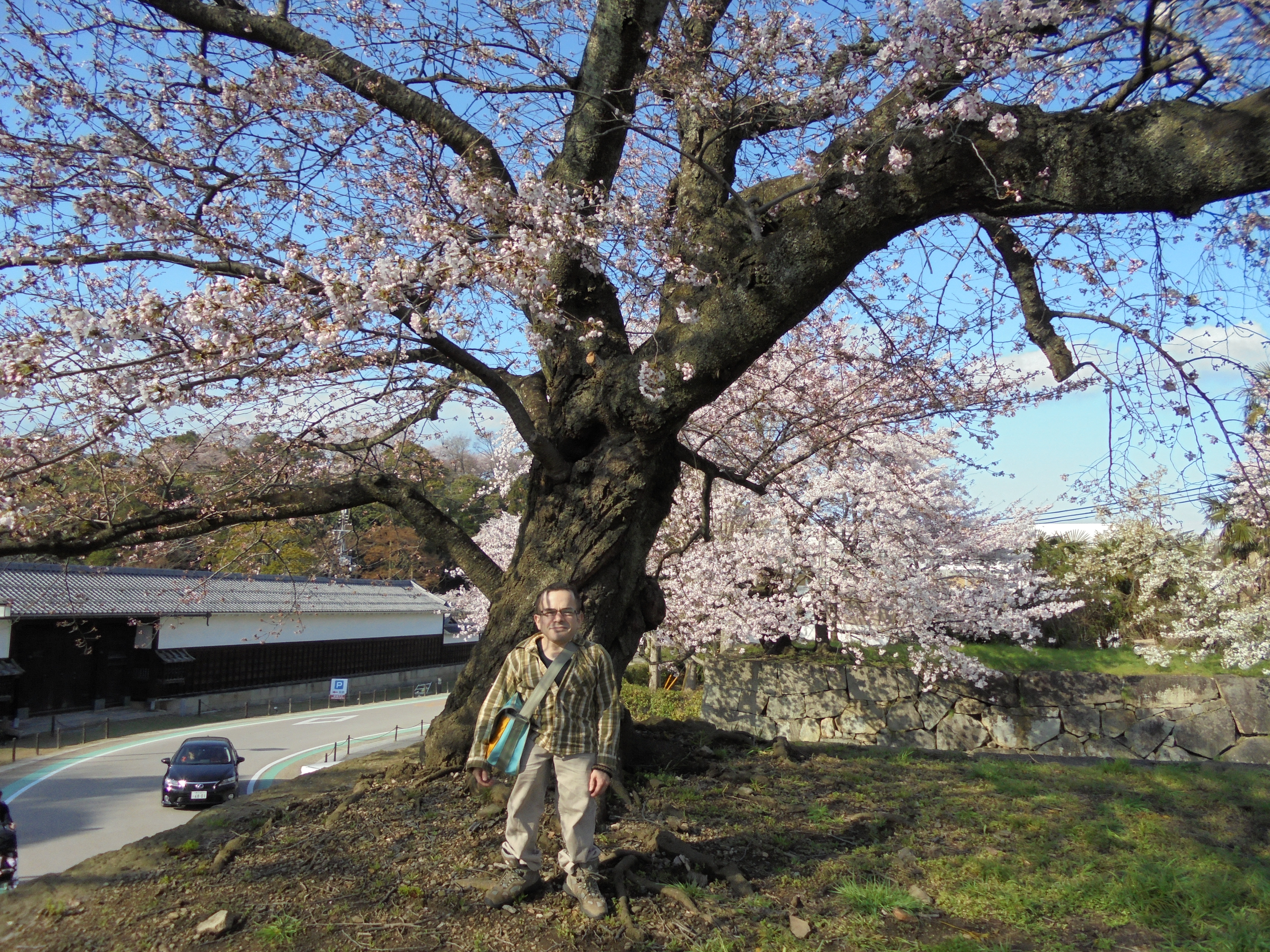 The Art of Connor Tinnin